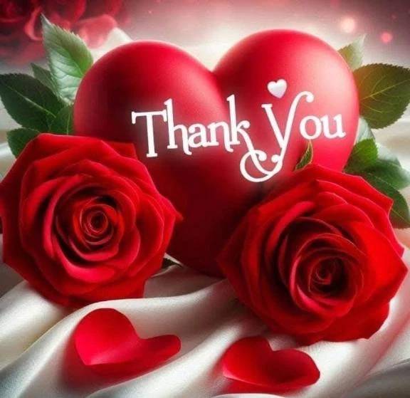 アラジン206号室様あリがとうございました♫