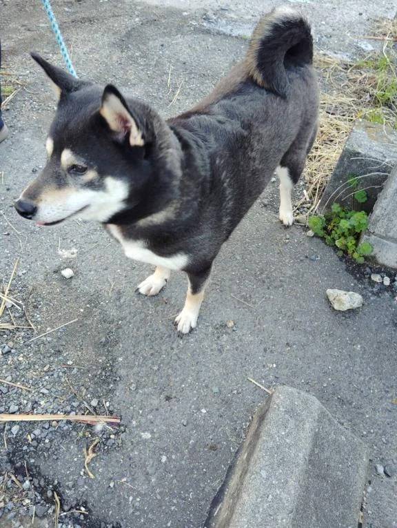 おはようございます😊