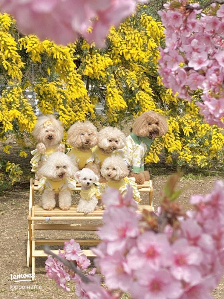 予想最高気温は１３℃