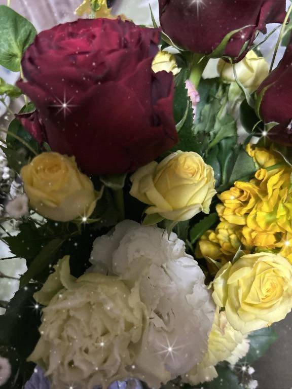 こんにちは(*ˊᵕˋ*)