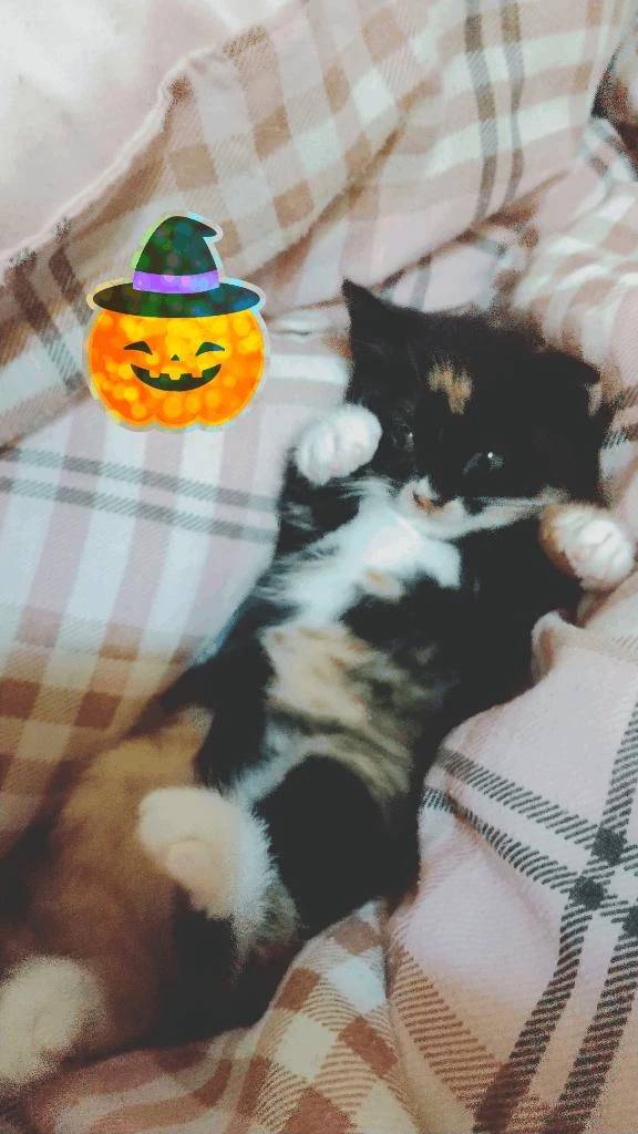 退勤しました。