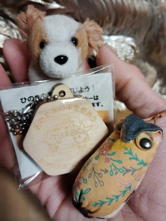 また、買ってしまいました😅😅