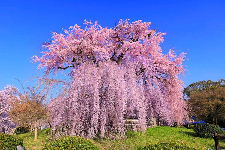 ３月になって２回目の月曜日