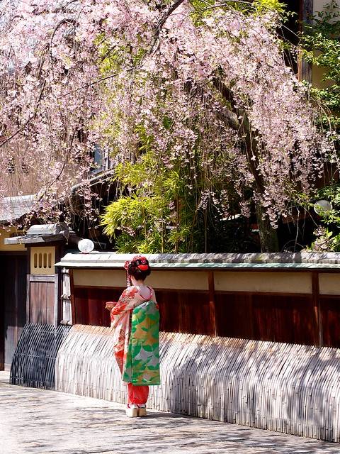 本日も宜しくお願いいたします