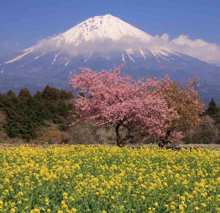 ３月になって２回目の火曜日