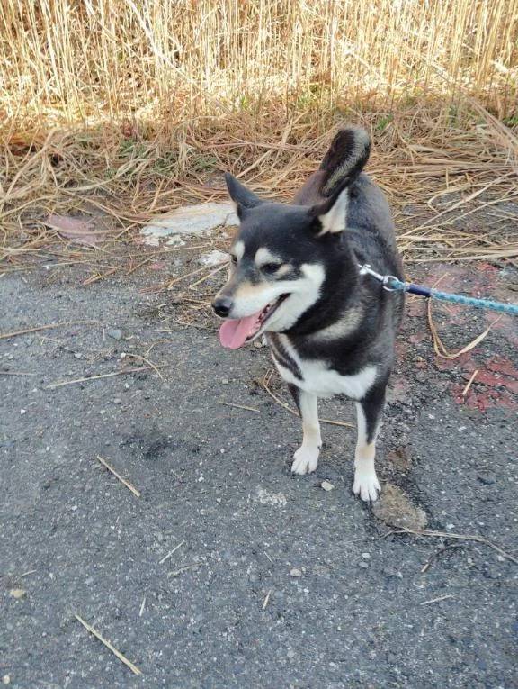 おはようございます😊