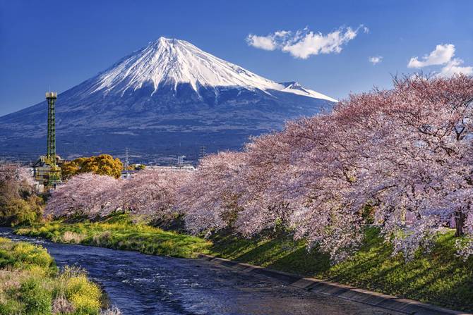本日も宜しくお願いいたします