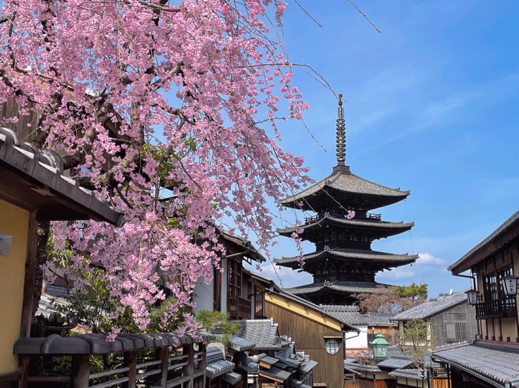 ３月になって２回目の水曜日