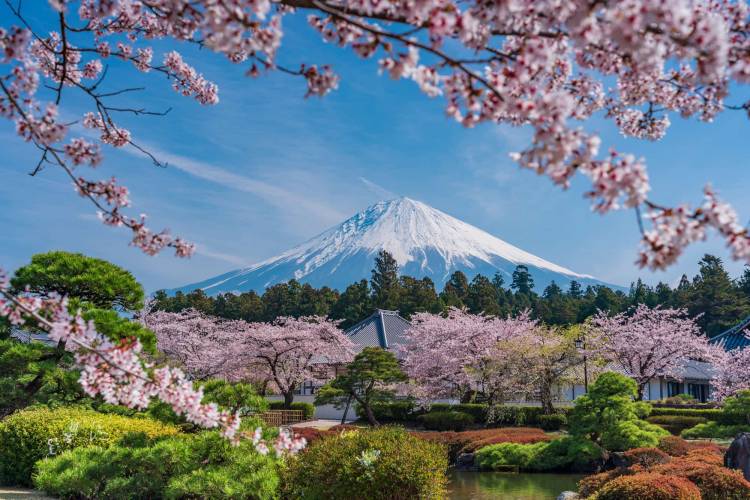 本日も宜しくお願いいたします