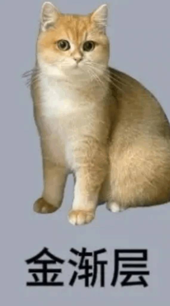 圧倒的に猫派なんだけど