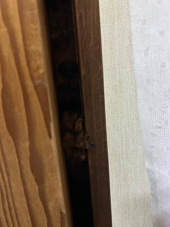 あゆ　　体験入店