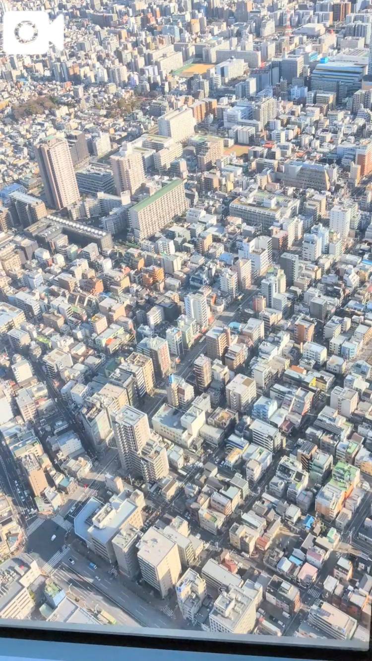 展望に到着しました🩷