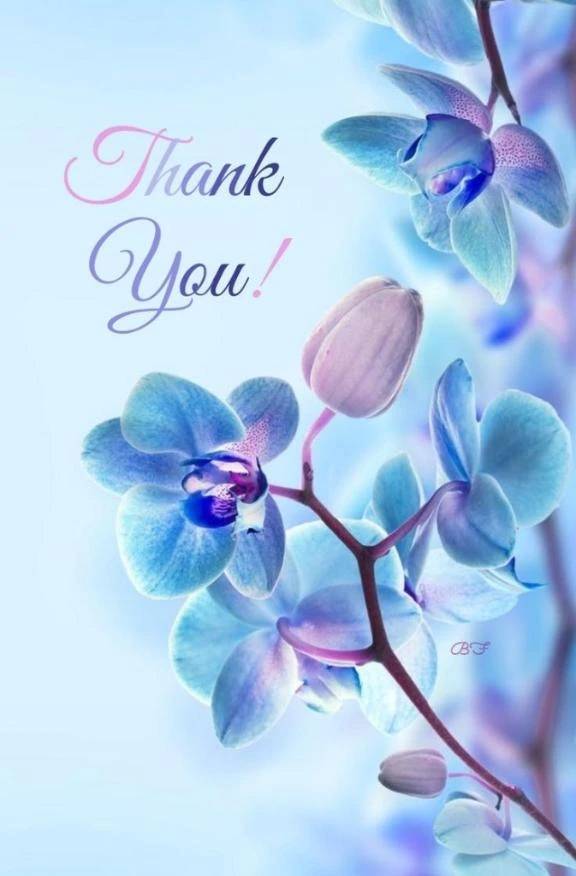 事前ご予約あリがとうございます♫