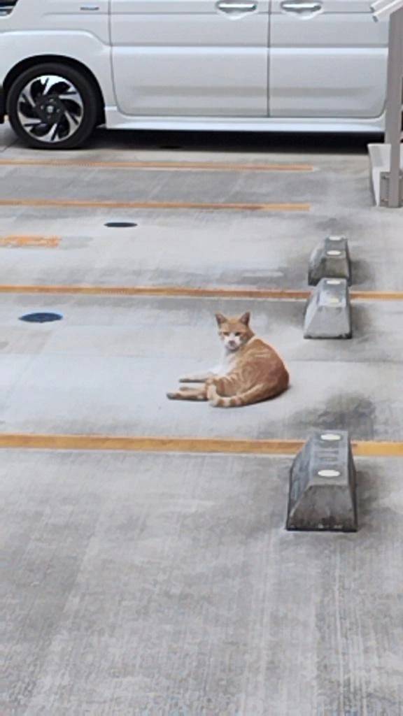 おはようございます