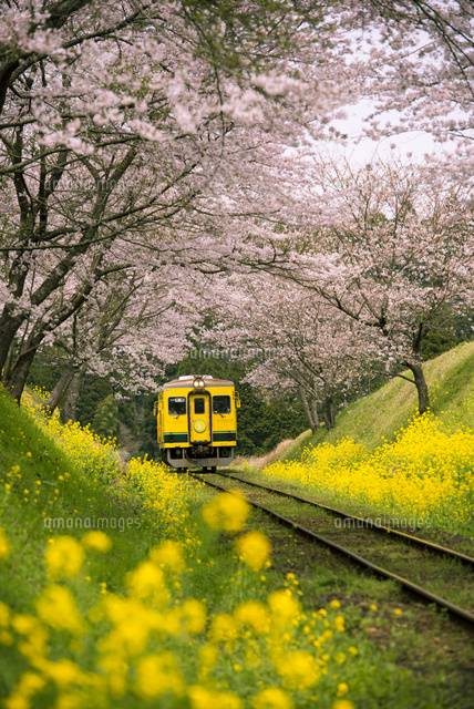 ３月になって３回目の火曜日