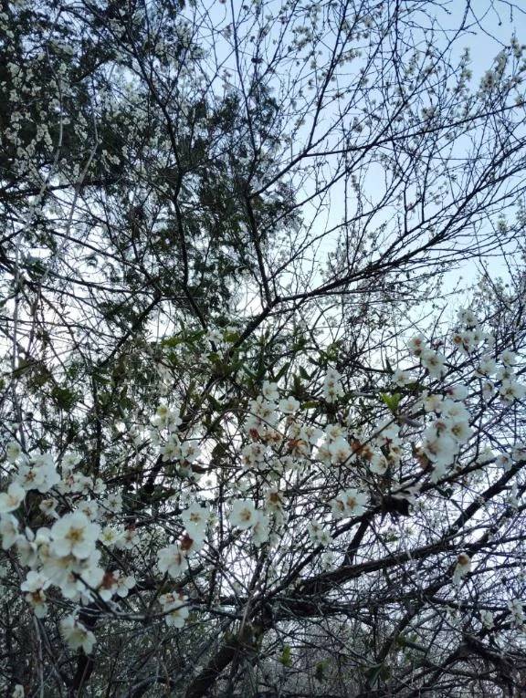 おはようございます😊