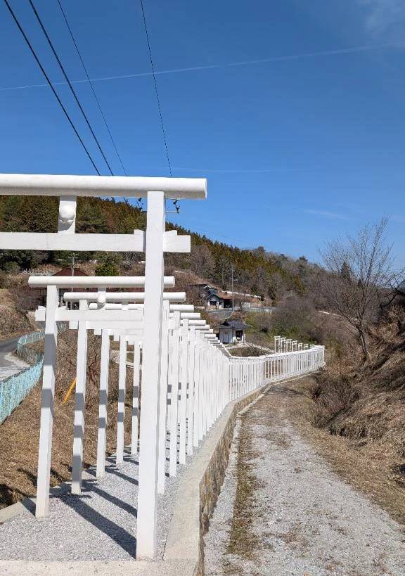 気になる神社⛩️✨