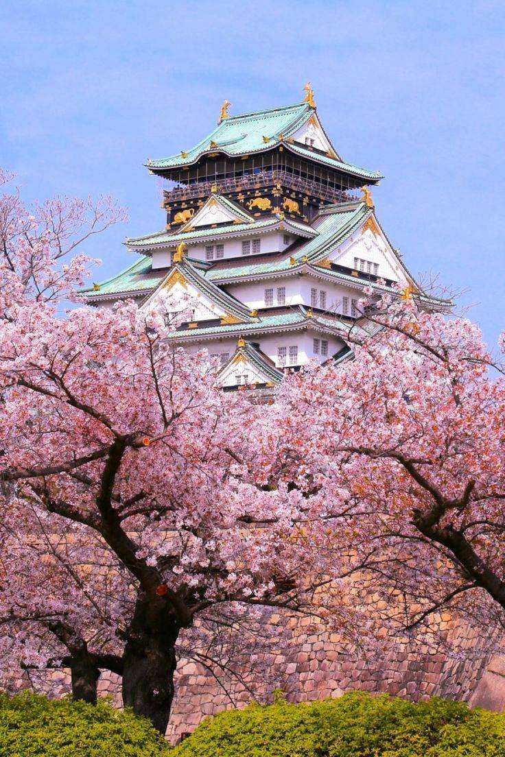 予想最高気温は１１℃