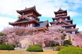 本日も宜しくお願いいたします