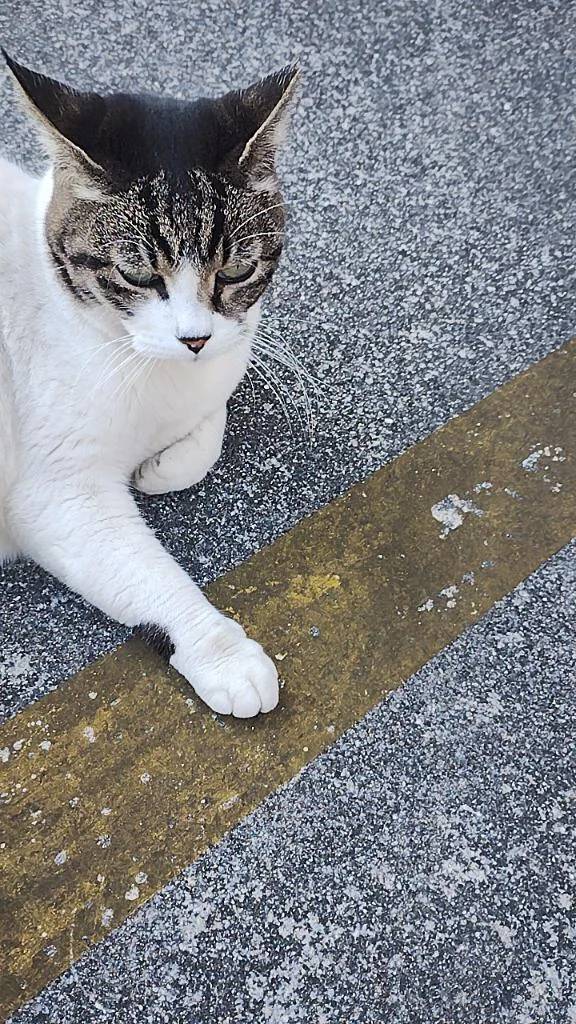 おはようございます