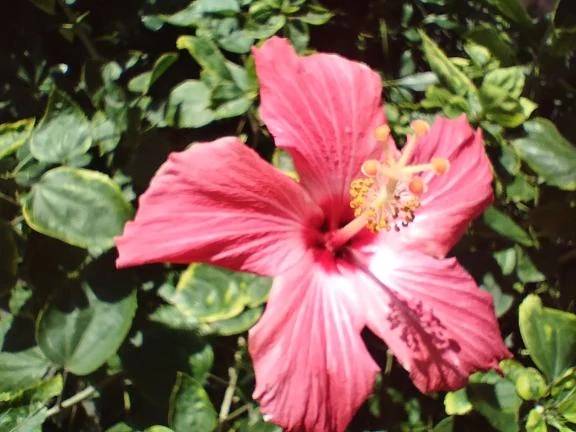 おはようございます