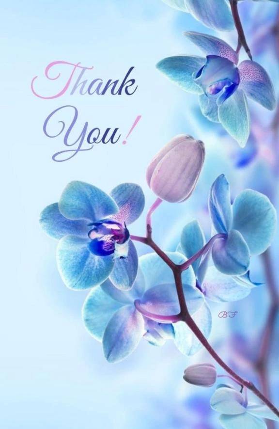 龍宮316号室様ロングあリがとうございました♫