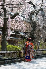 お疲れ様でした