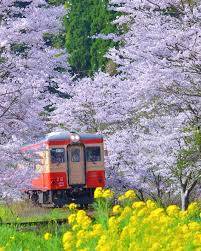 おやすみなさい