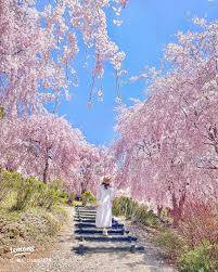 本日も宜しくお願いいたします