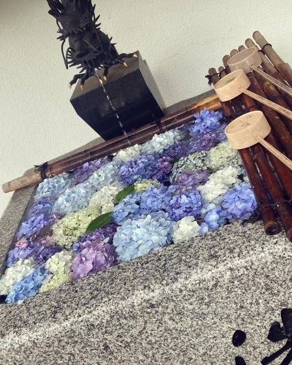 おはようございます〜‼️