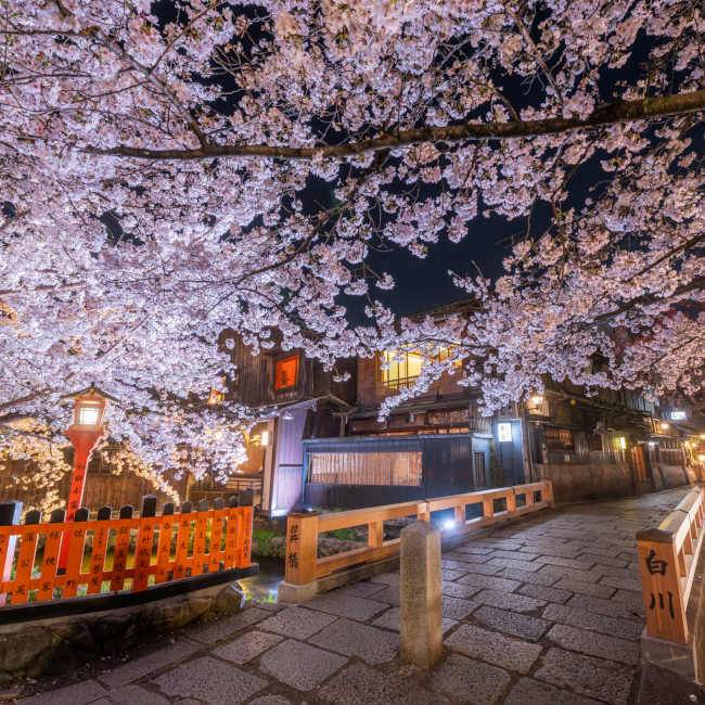 おやすみなさい