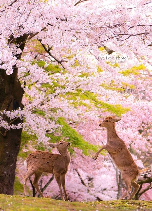 予想最高気温は１６℃