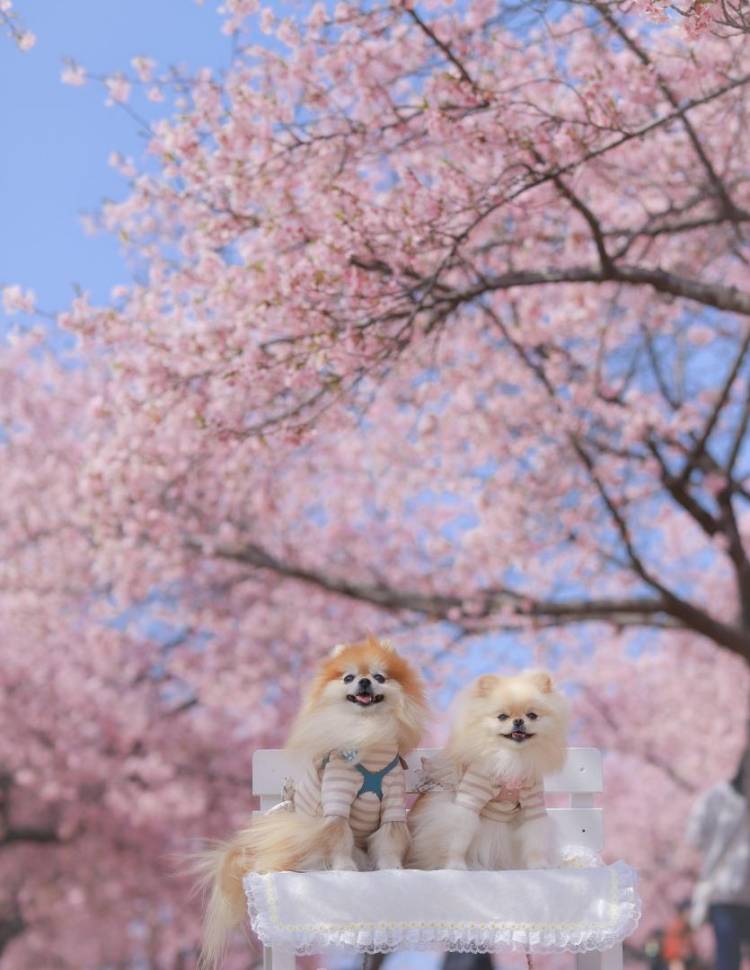 ありがとうございました