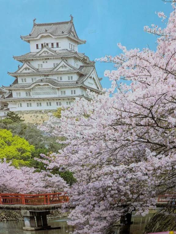 出勤なぅ（笑）