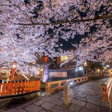 おやすみなさい