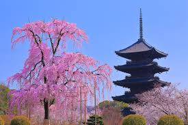 ３月になって４回目の火曜日