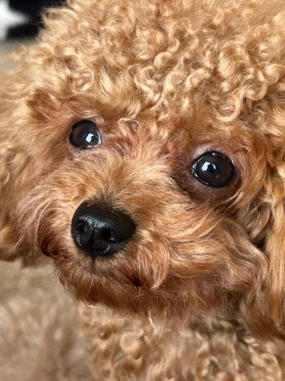 休日🙋🏼‍♀️ ̖́⟡.·