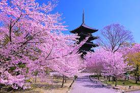 本日も宜しくお願いいたします