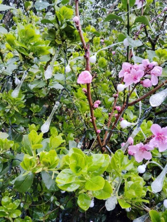 こんなことあるんですね、