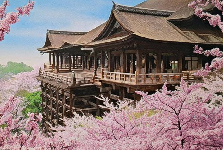 出勤の予定でしたが、お休みさせていただきます