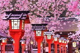 予想最高気温は１２℃