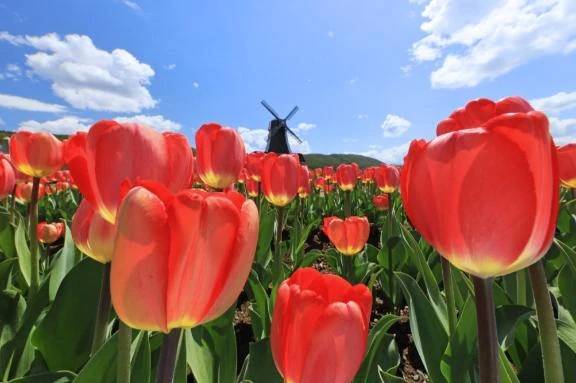 タウンホテルのお客様