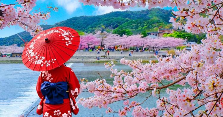 お疲れ様でした