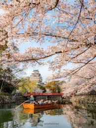 おやすみなさい