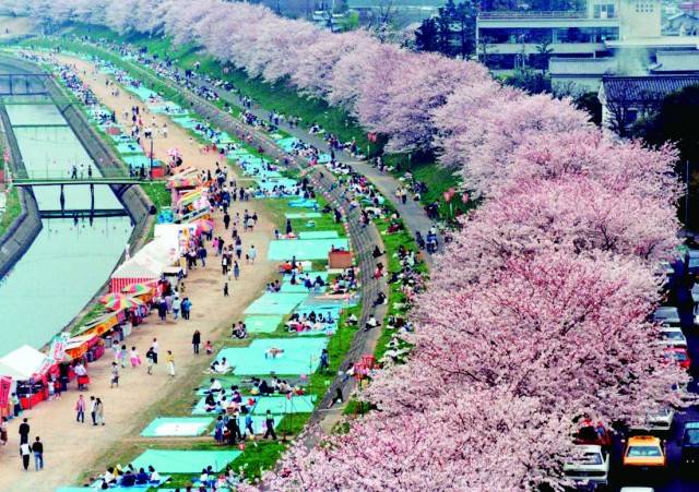 予想最高気温は２１℃