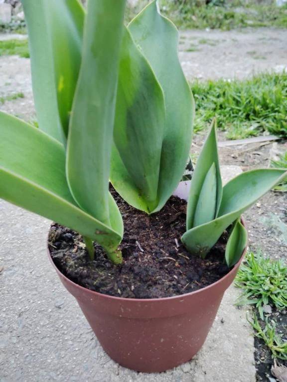 おはようございます😊