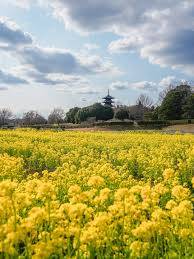 本日も宜しくお願いいたします