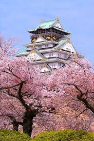 リピーターのＦＨ様に感謝～です