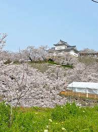 今月最後の月曜日
