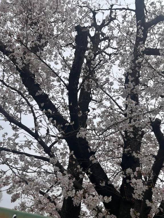 親子丼3Pクインズコートありがとう！🫶